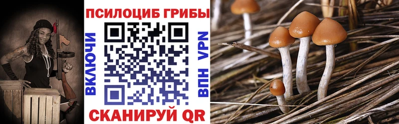 Галлюциногенные грибы GOLDEN TEACHER  Ростов 